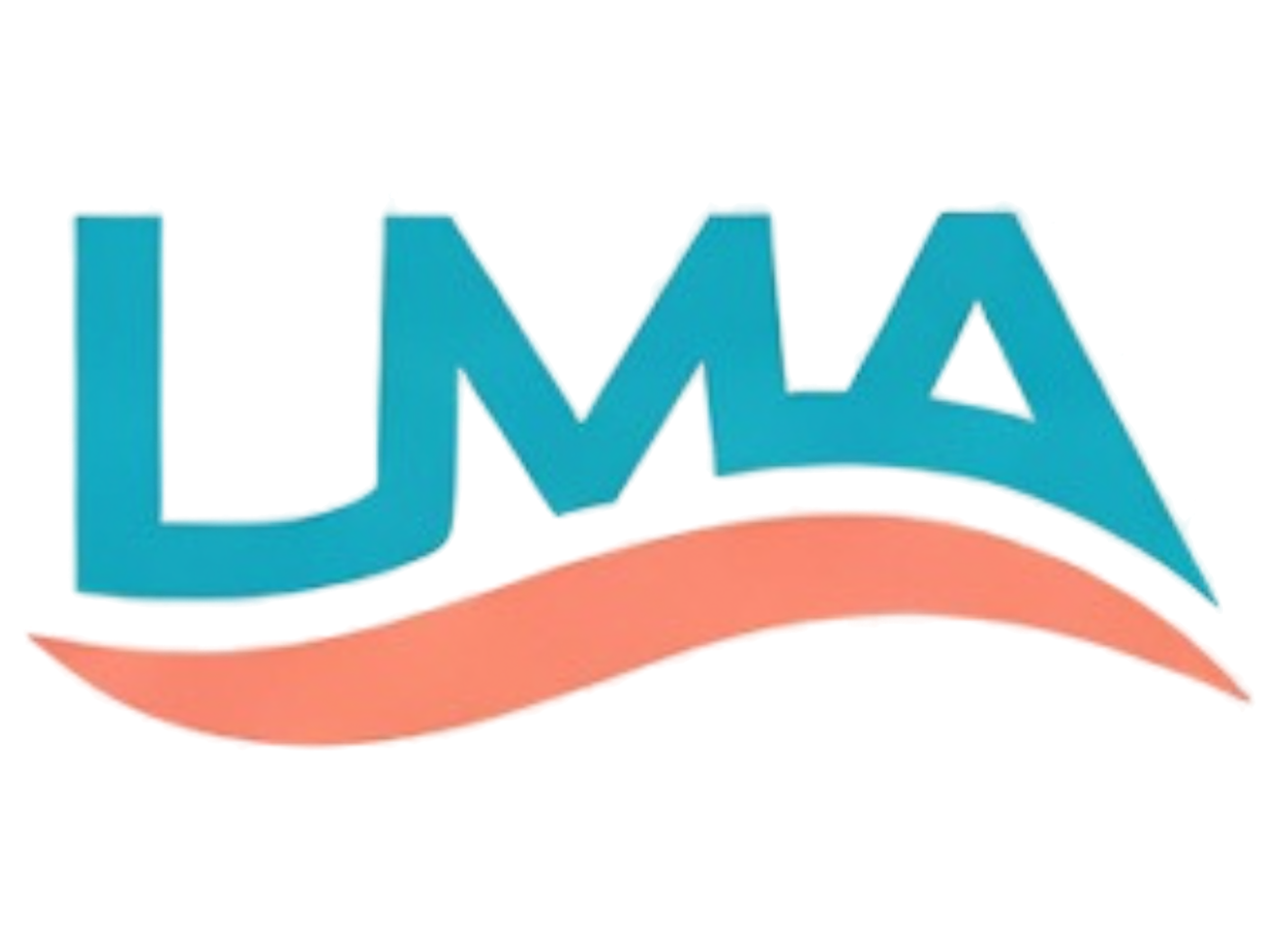 Lake Michigan Adventures